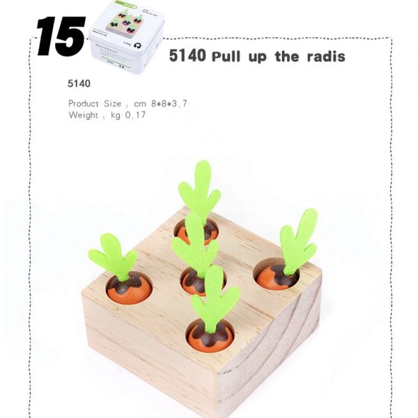 Montessori Educational Toy Developmental